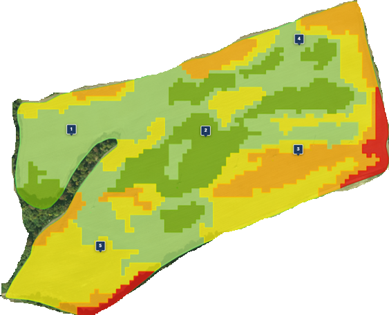 Mapa parcely rozdelená do zón produkčného potenciálu s vyznačenými odberovými miestami